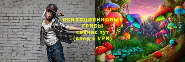 винт Абаза
