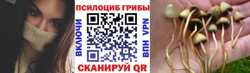 Псилоцибиновые грибы мухоморы  нарко площадка состав  Каргополь  как найти  
